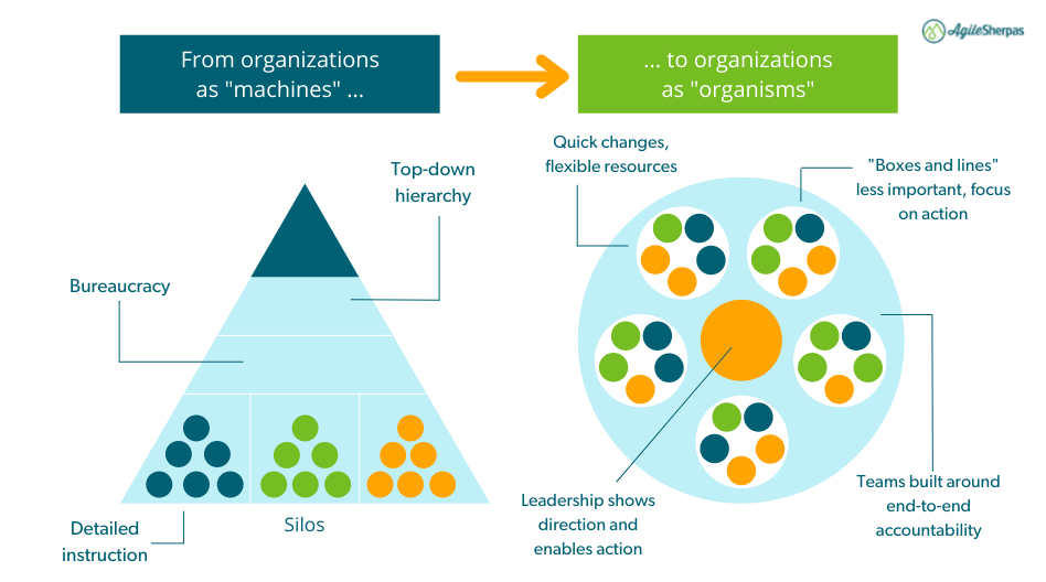 What Is the Agile Business Model?