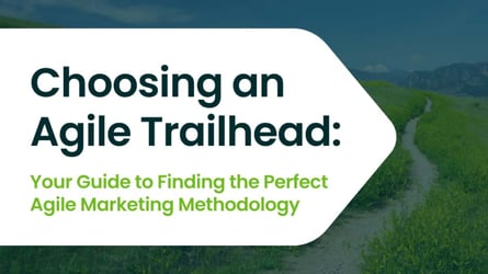 Choosing an Agile Trailhead Guide